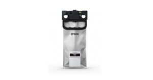 Струменевий картридж Epson C13T01C100
